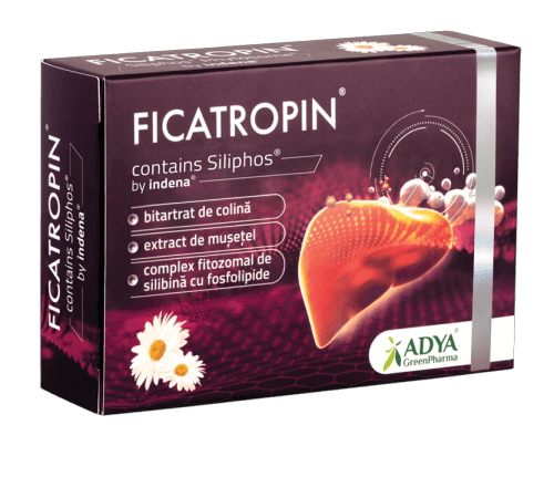 Carduri de fidelitate